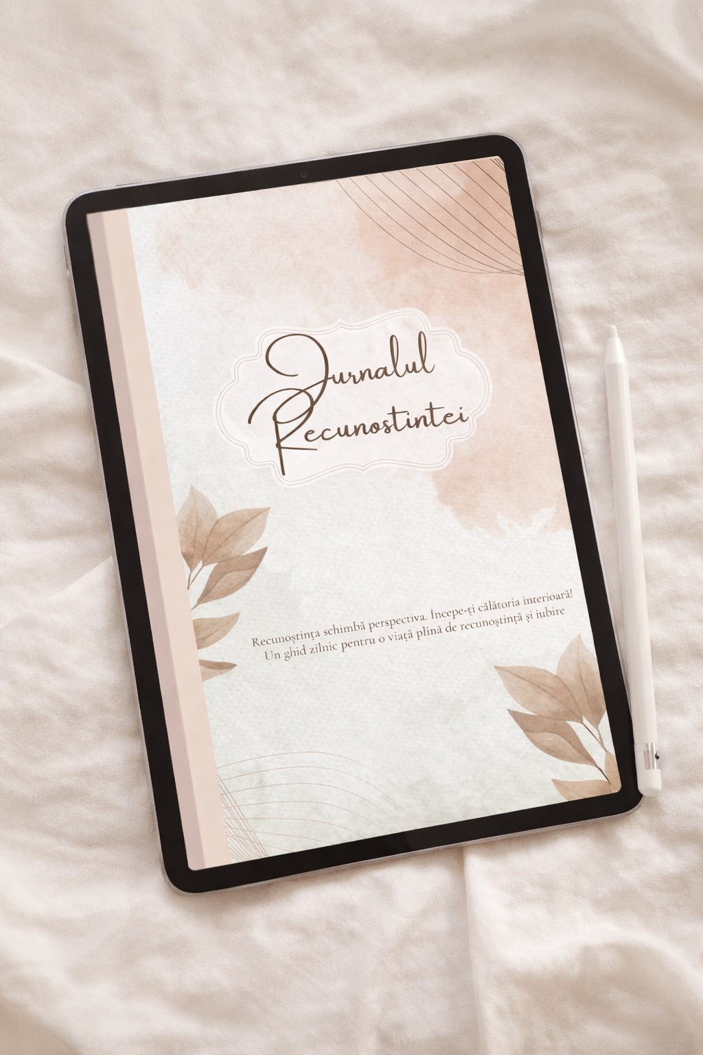 jurnalul recunostintei